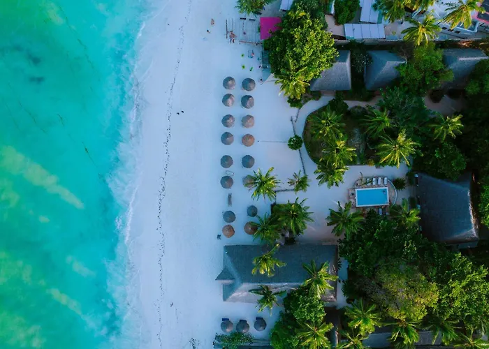 Mambo Ocean Resort